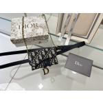Dior Blue Jacquard Fabric Dior Oblique Pattern Nano Handbag Model Number s0220